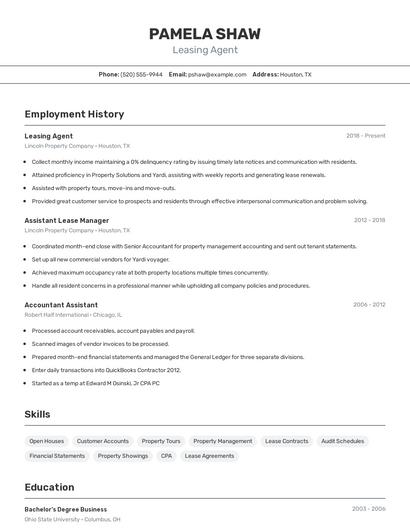 Resume example 2
