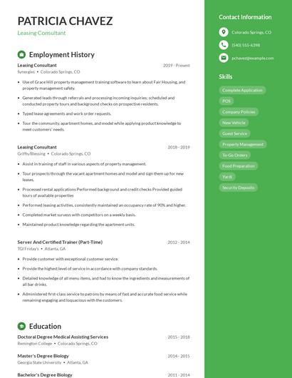 Resume example 4