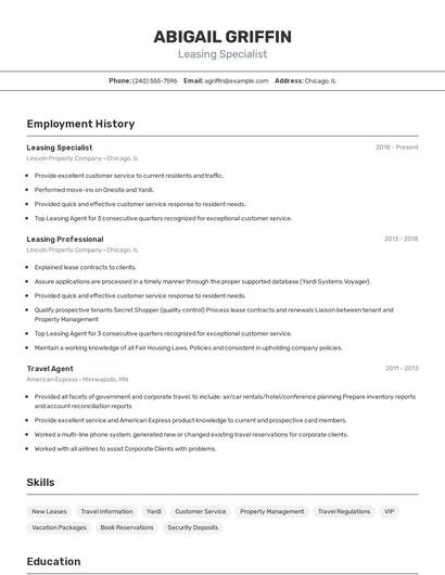 Resume example 2
