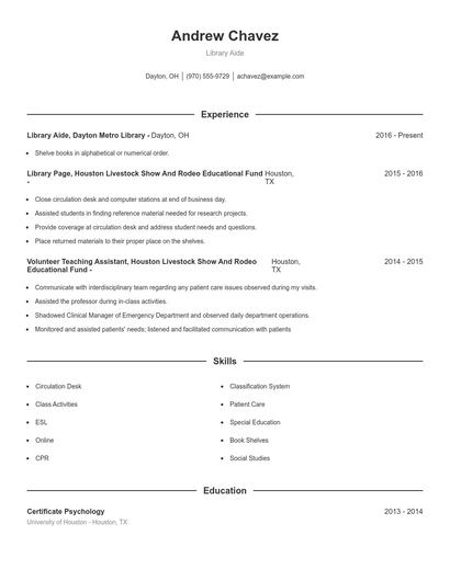 Resume example 1