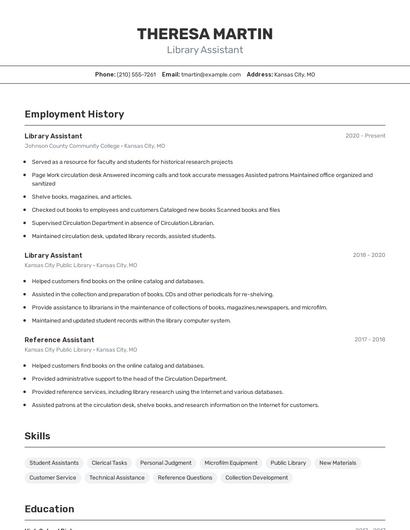 Resume example 2