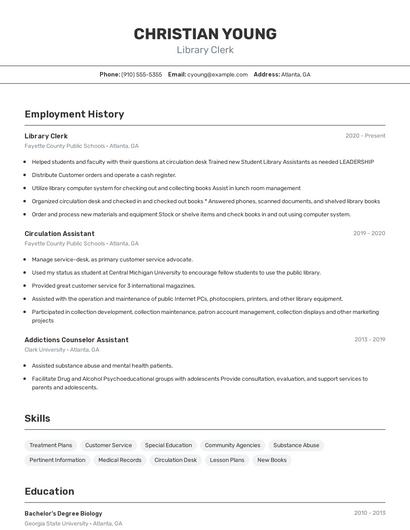 Resume example 2