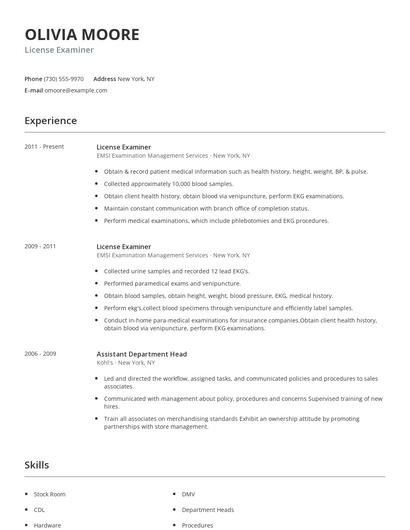 License Examiner Resume