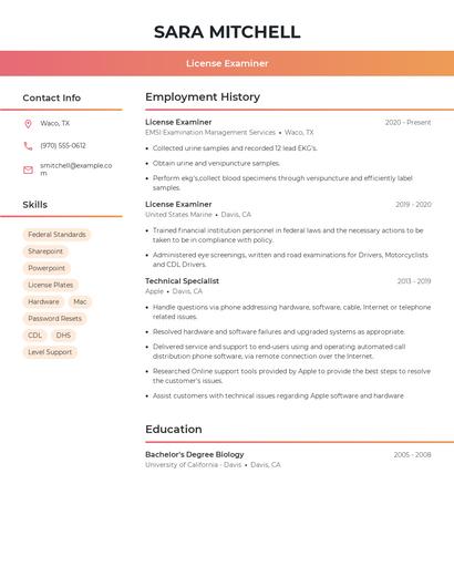 License Examiner Resume