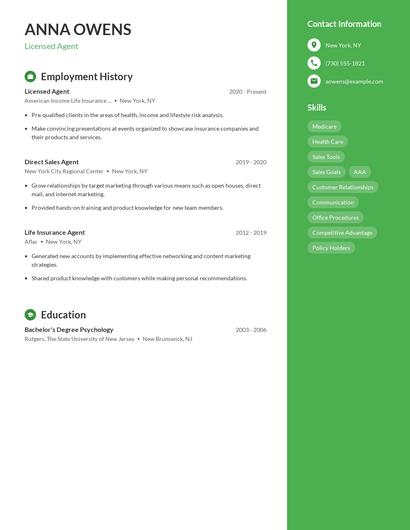 Resume example 5
