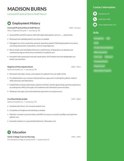 Resume example 5