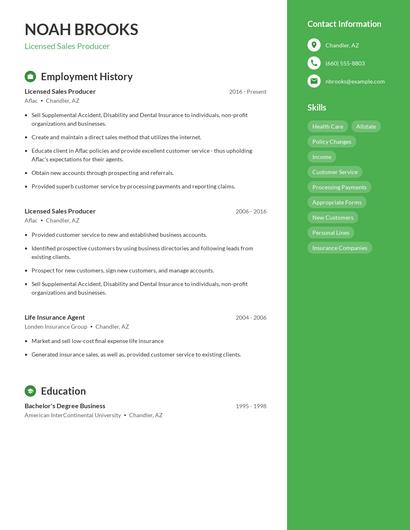 Resume example 4