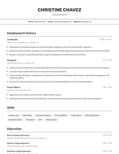 Resume example 2