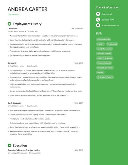 Resume example 4