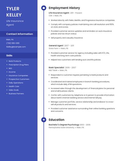 Resume example 4
