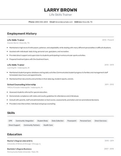Resume example 2
