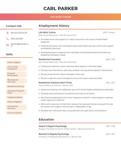 Resume example 3