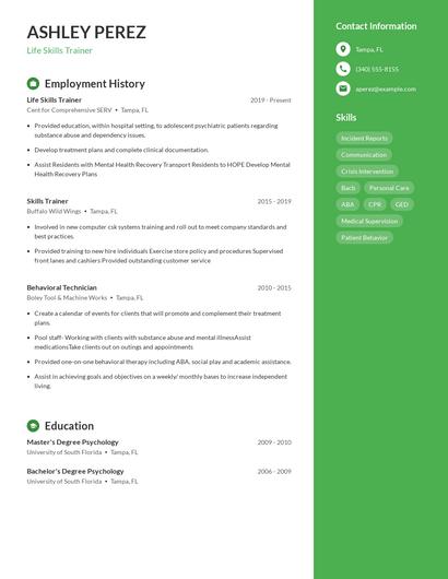 Resume example 4