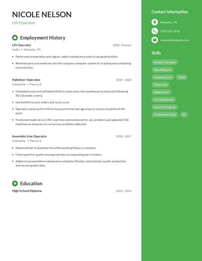 Resume example 4