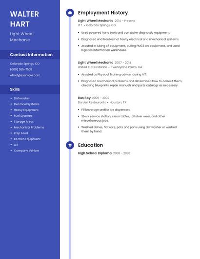 Resume example 5