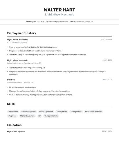 Resume example 2