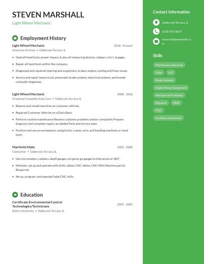 Resume example 4