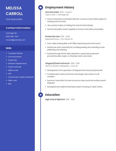Resume example 5