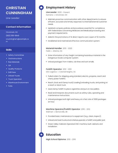 Resume example 4