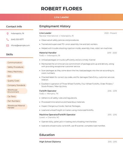 Resume example 3