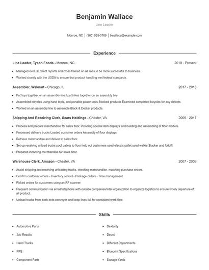 Resume example 1