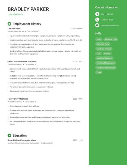 Resume example 4
