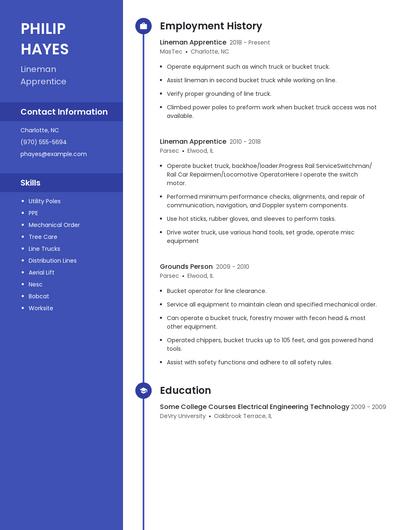 Resume example 5
