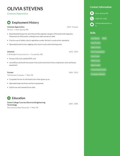 Resume example 4
