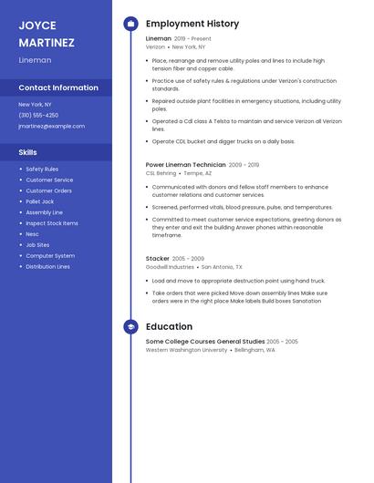 Resume example 5