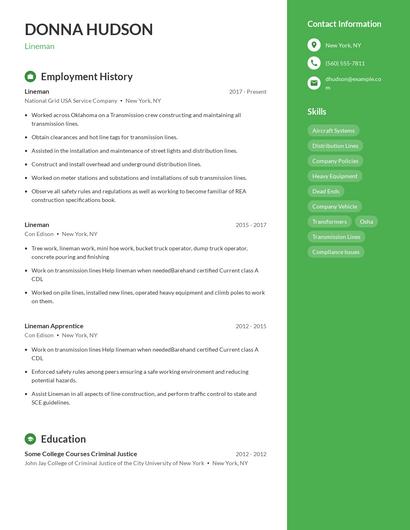 Resume example 4