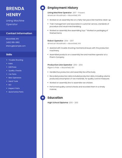 Resume example 4