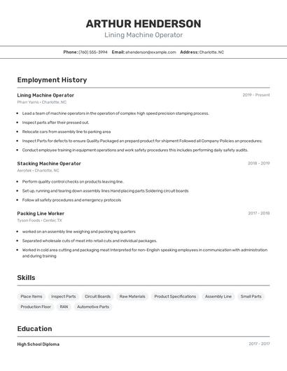 Resume example 2
