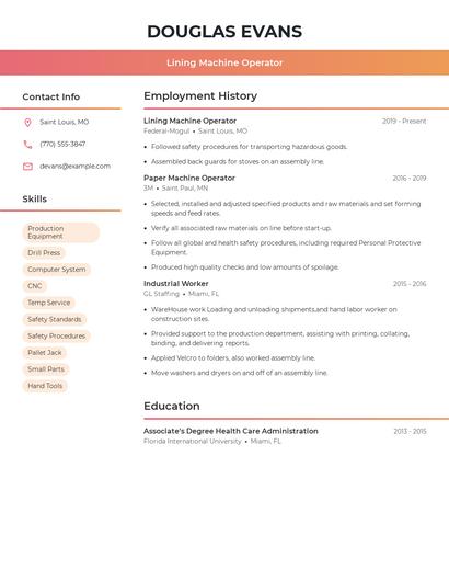 Resume example 3
