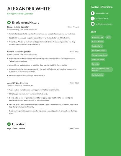 Resume example 5