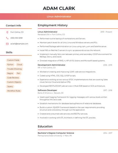 Resume example 3