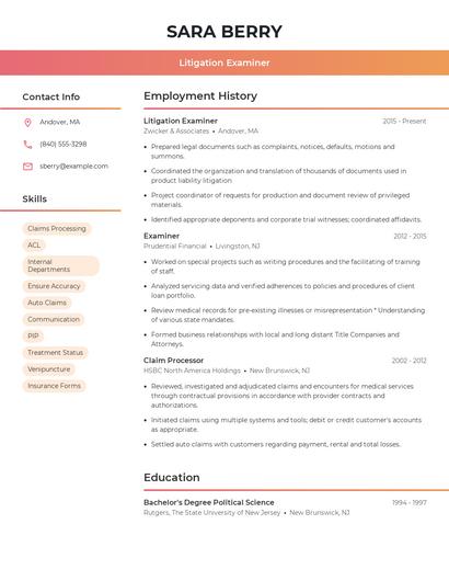 Litigation Examiner Resume