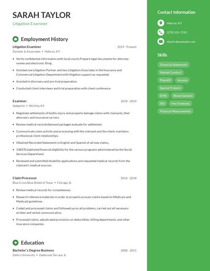 Litigation Examiner Resume