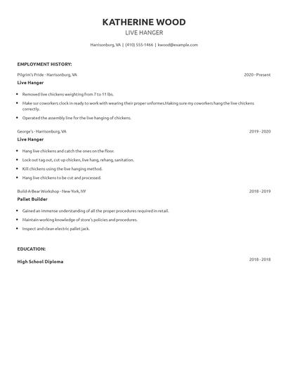 Live Hanger Resume
