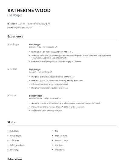 Live Hanger Resume