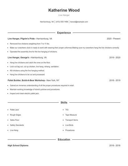Live Hanger Resume