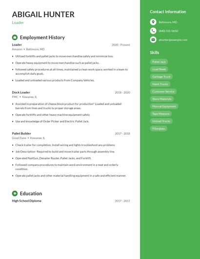Resume example 4
