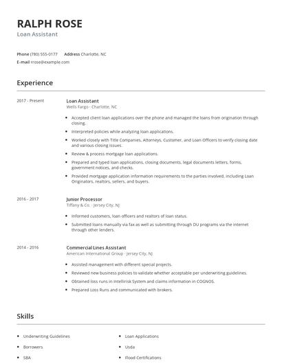 Loan Assistant Resume