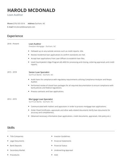 Loan Auditor Resume