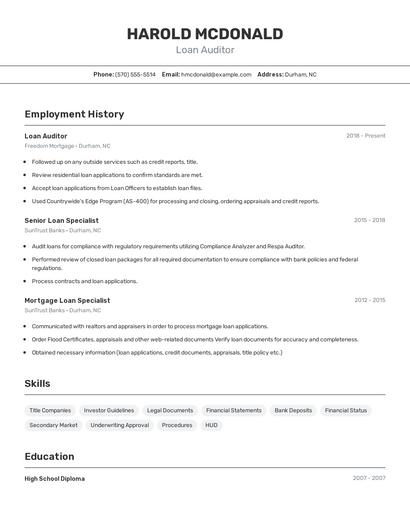 Loan Auditor Resume