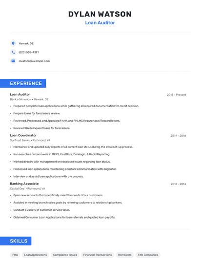 Loan Auditor Resume