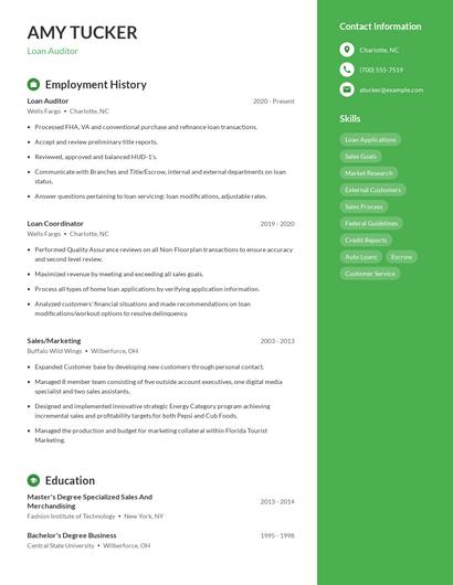 Loan Auditor Resume