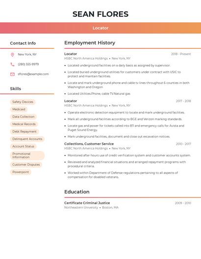 Resume example 3