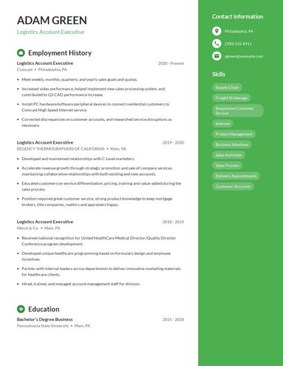 Resume example 5