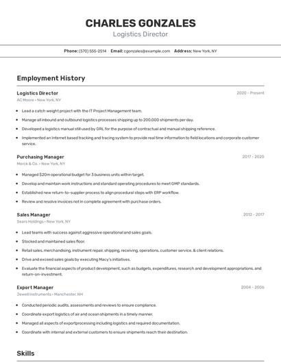 Logistics Director Resume
