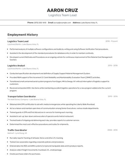 Logistics Team Lead Resume